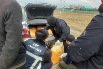 Самую крупную партию наркотиков за последние 10 лет изъяли в СКО