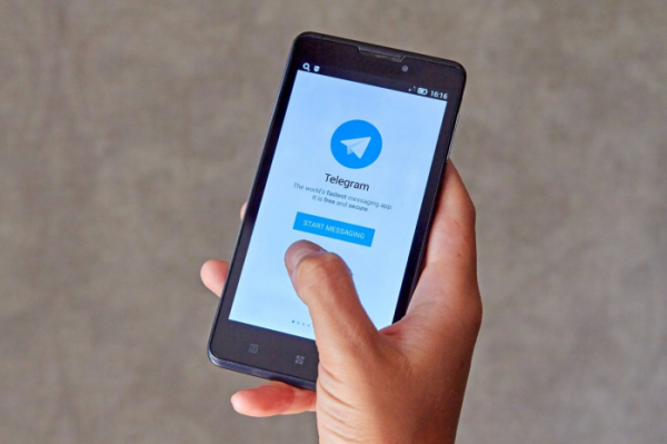 Telegram-бот для сообщений о фактах коррупции запущен в Казахстане