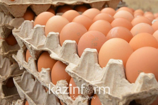 Расширять яичные птицефабрики будут в Казахстане