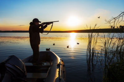 Гусь летит, медведь проснулся: на кого и где открыта весенняя охота