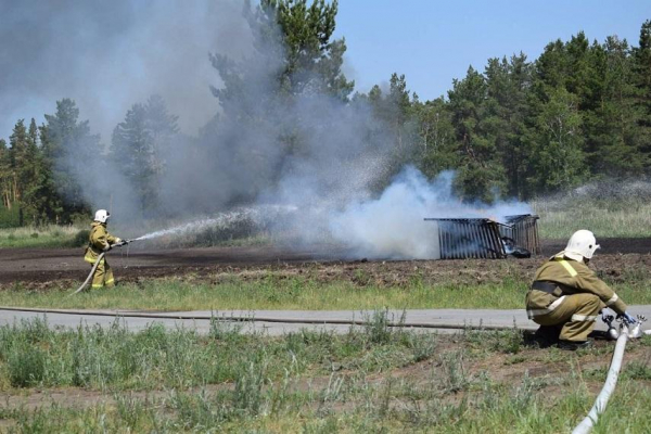 Крупный пожар в лесу «тушили» в Костанайской области