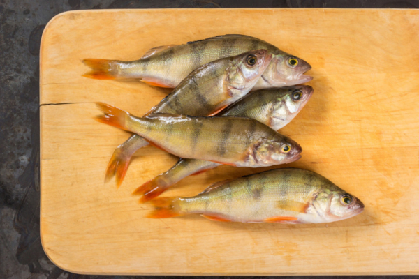 Речная рыба без мелких костей и сухости: простой приём с надрезами делает её сочной и безопасной для всей семьи