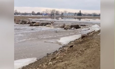 Партнер, которому доверяют