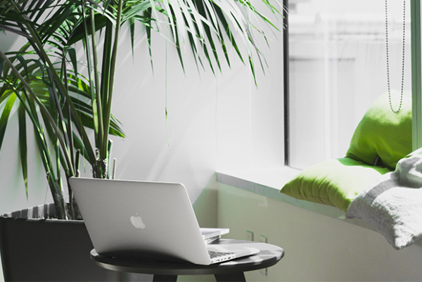 Стипендии, стажировки и конкурсы ноября