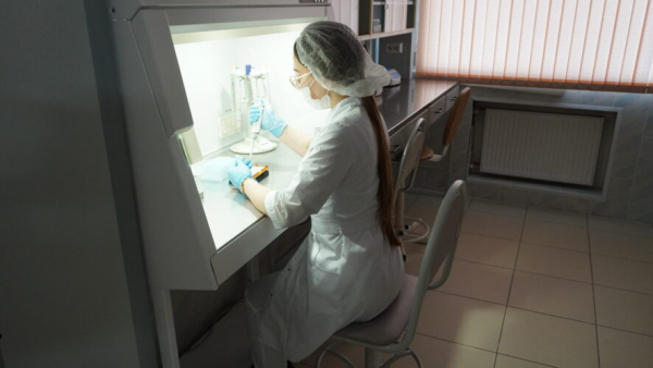 Правительству поручили уменьшить отчетность бюджетников 27/04/2026 &ndash; Новости