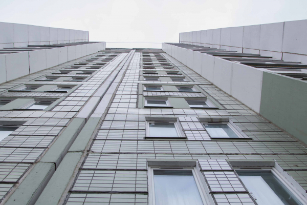 В Балашихе лось едва не проник в многоэтажку, но был накормлен жильцами