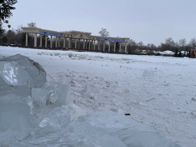 Новый год промчался незаметно!