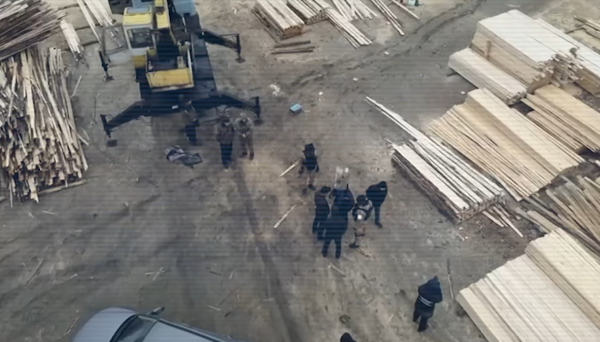 Полиция выявила коррупционную схему заготовки и продажи древесины