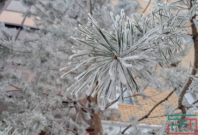Денежный вопрос: почему туристы в Татарстане уходят из отелей в квартиры