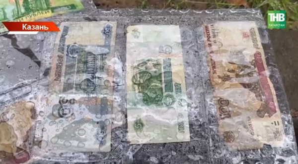 Котята в унитазе и пистолеты в люках: что хранят трубы Казани