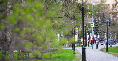 Россиянам грозит ранняя атака клещей после снежной зимы