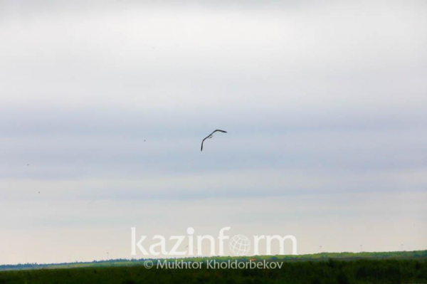 В каких городах Казахстана будут неблагоприятные метеоусловия 21 июля