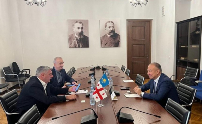Экономический курс Казахстана в центре внимания Парламента Грузии