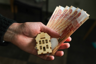 Капитальные инвестиции в сфере животноводства выросли на 26%