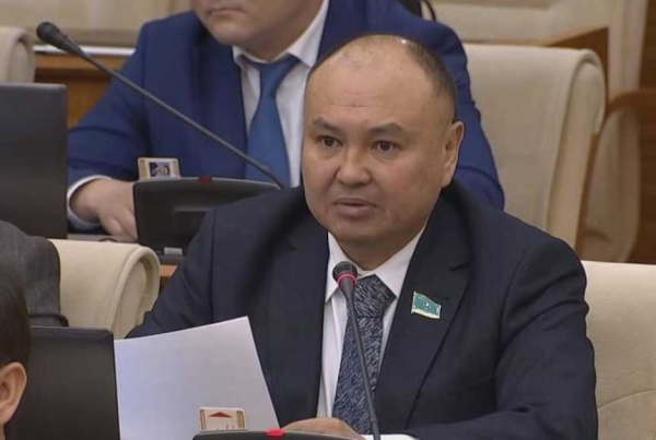 Каждый гражданин Казахстана должен упорно бороться за единство государства - депутат