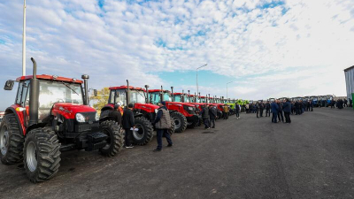 Ввести запрет на ввоз пшеницы намерены в Казахстане