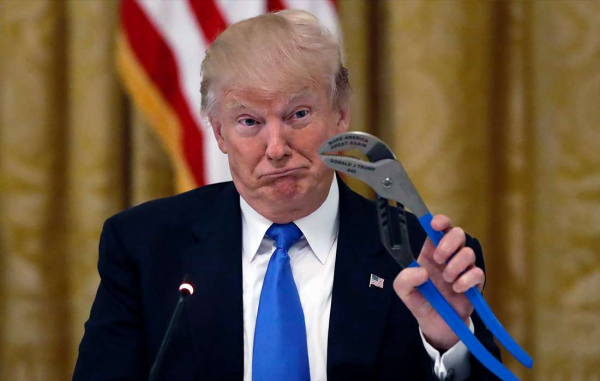 Трамп абсолютно уверен, что США получат Гренландию