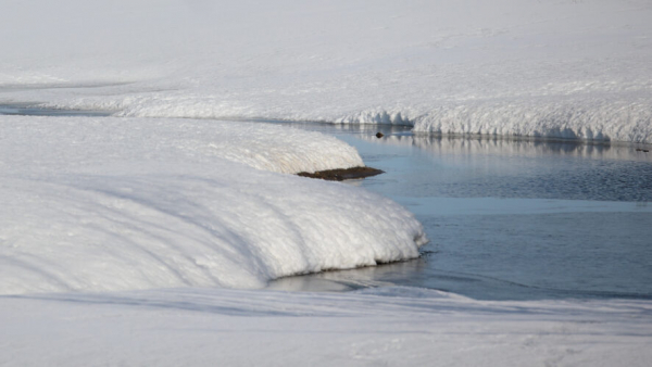 Маленькая девочка провалилась под лед, катаясь на ватрушке без присмотра родителей 13/02/2026 &ndash; Новости